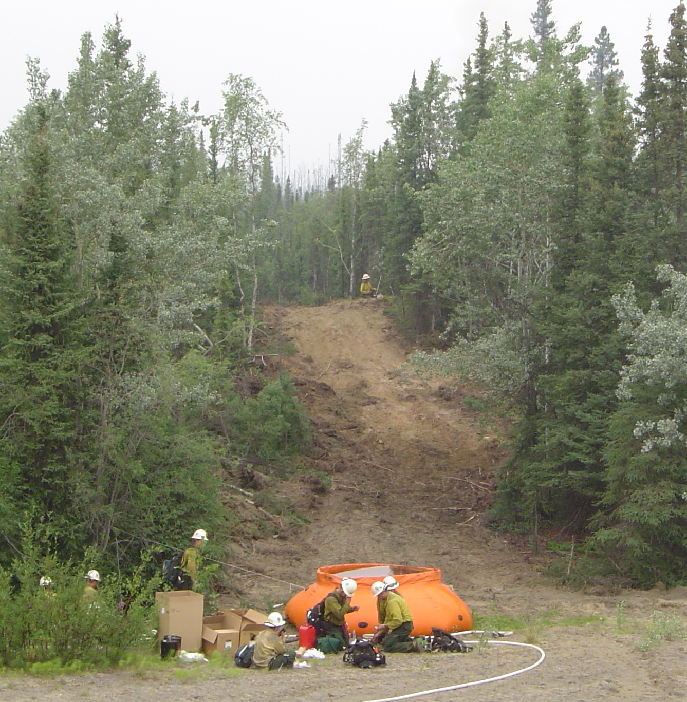 pumpkin-2004-cylewold-pnw