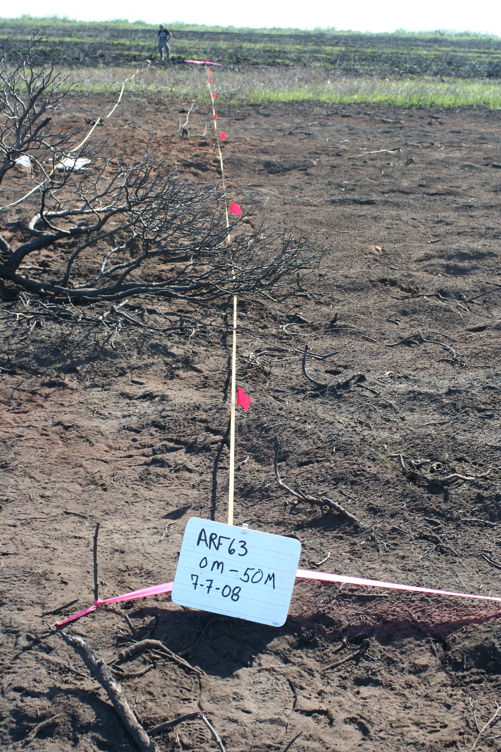 ARF63_0-50m_2008