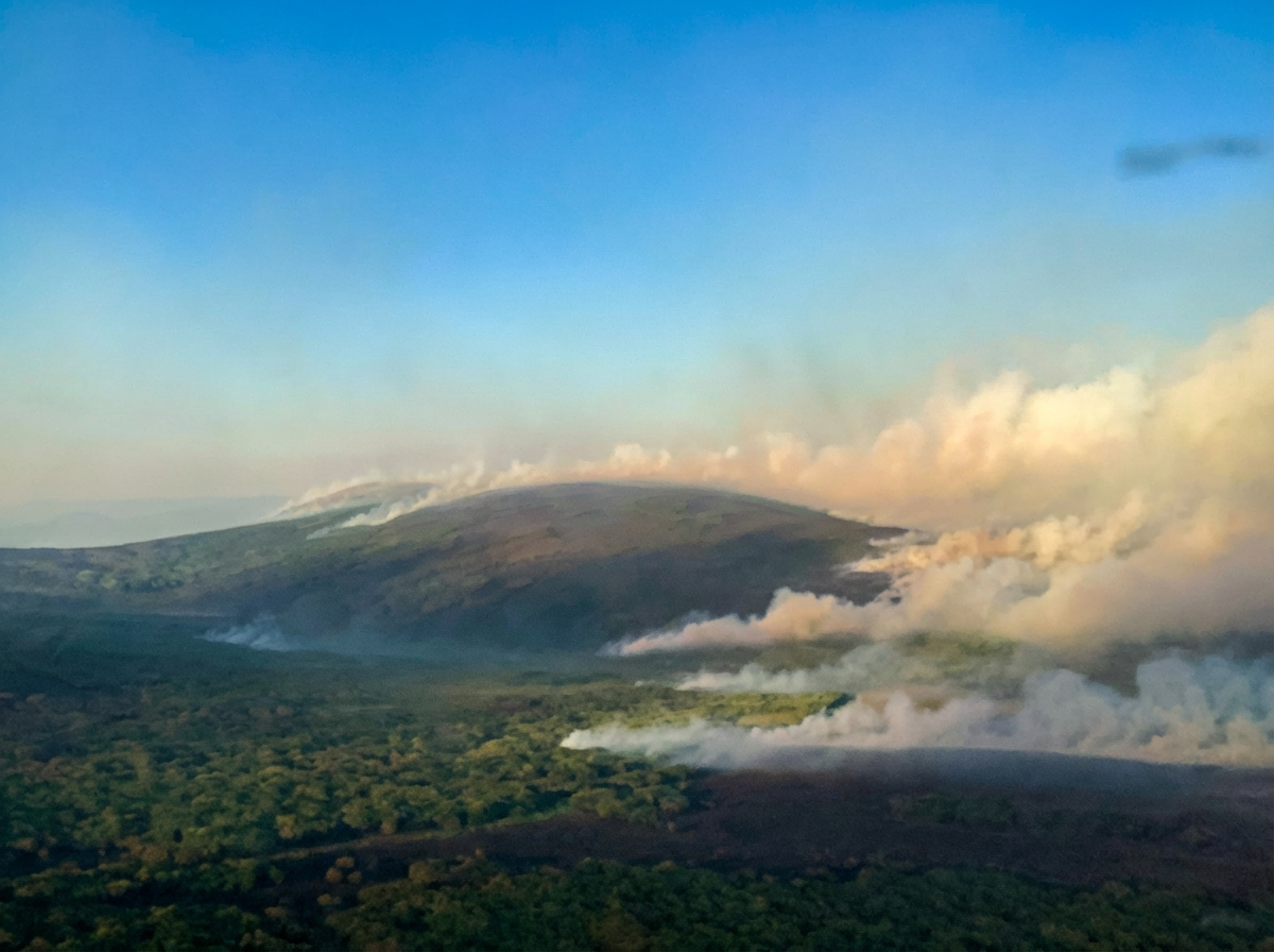 Smoke billows away from a large tundra fire as seen from the air.